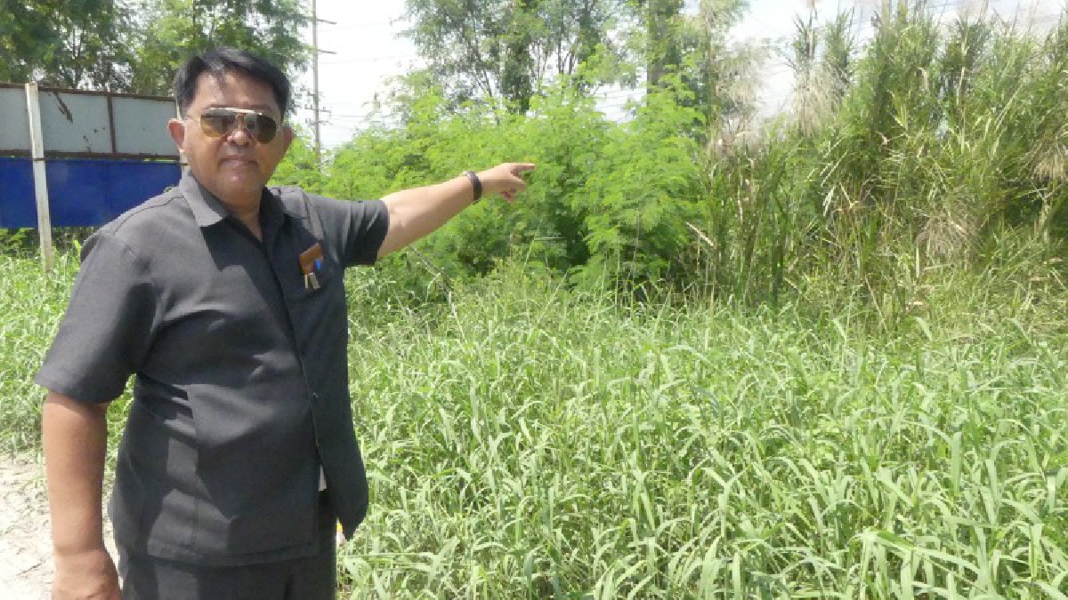 ปทุมธานีเจ้าของที่ งง ถูกสวมสิทธิ์ทับที่ดินออกโฉนด นสล.ป่าสะแก