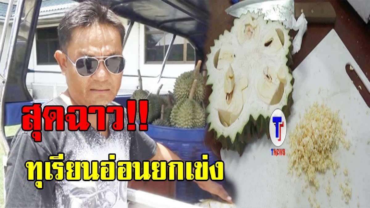 ขี้โกงแบบนี้ต้องประจาน !! พ่อค้าทุเรียนสุดทน แจ้งจนท.ตรวจทุเรียนอ่อนยกเข่ง ไม่คิดแม่ค้าทุเรียนระยอง จะกล้าทำจังหวัดเสียชื่อ