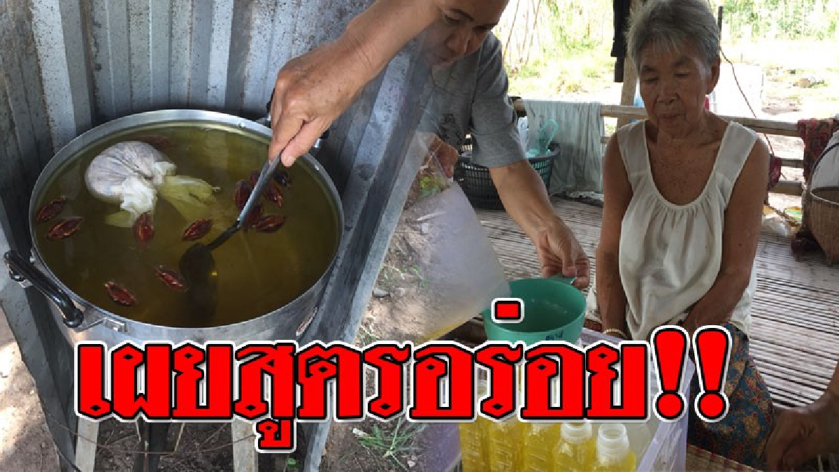 สุดยอดเคล็ดลับ ! คุณยายเมืองช้างวัย 80 ปี เผยสูตร “น้ำเก๊กฮวย” เป็นวิทยาทานให้คนรุ่นหลังได้รู้ "สูตรเด็ดแสนอร่อย"..!?? (ชมคลิป)