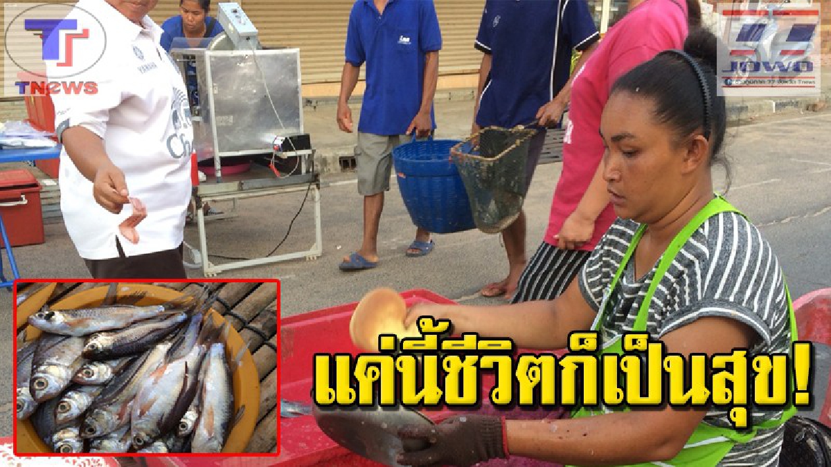 สู้ชีวิต !!ความจนไม่ใช่อุปสรรค 2 พี่น้องอดีตสาวโรงงาน สุขใจที่บ้านเกิด รับซื้อปลาช่วงฝนใหม่ มาชำแหละขายสร้างรายได้เสริม (คลิป)