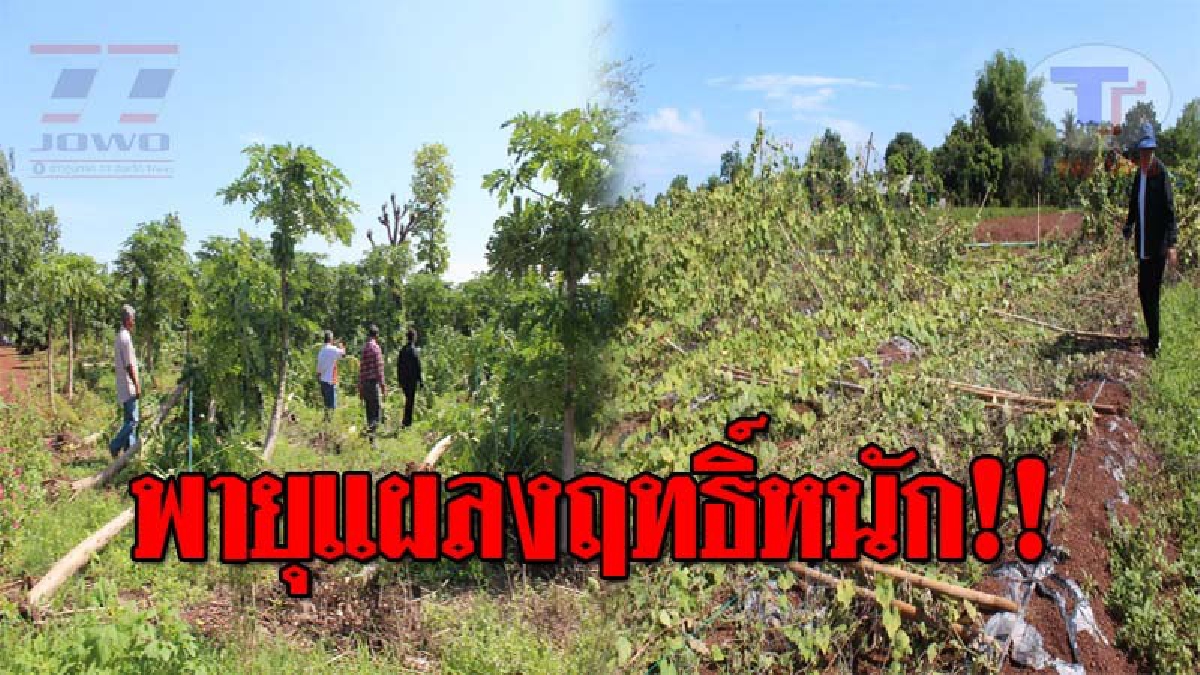 พังราบเป็นหน้ากอง..!! พายุถล่มหนัก ทำสวนชาวบ้านหนองบุญมาก เสียหายยับ วอนขอความช่วยเหลืออย่างเร่งด่วน!? (ชมคลิป)