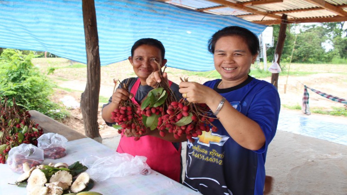 แซ่บคักๆ ใครเห็นต้องน้ำลายไหล!! ชาวบ้านเมืองช้างนำ“บักแงว”หรือลิ้นจี่อีสาน ซึ่งออกผลเพียงปีละครั้ง รวมไปถึงของป่ามาตั้งขายริมทาง (ชมคลิป)