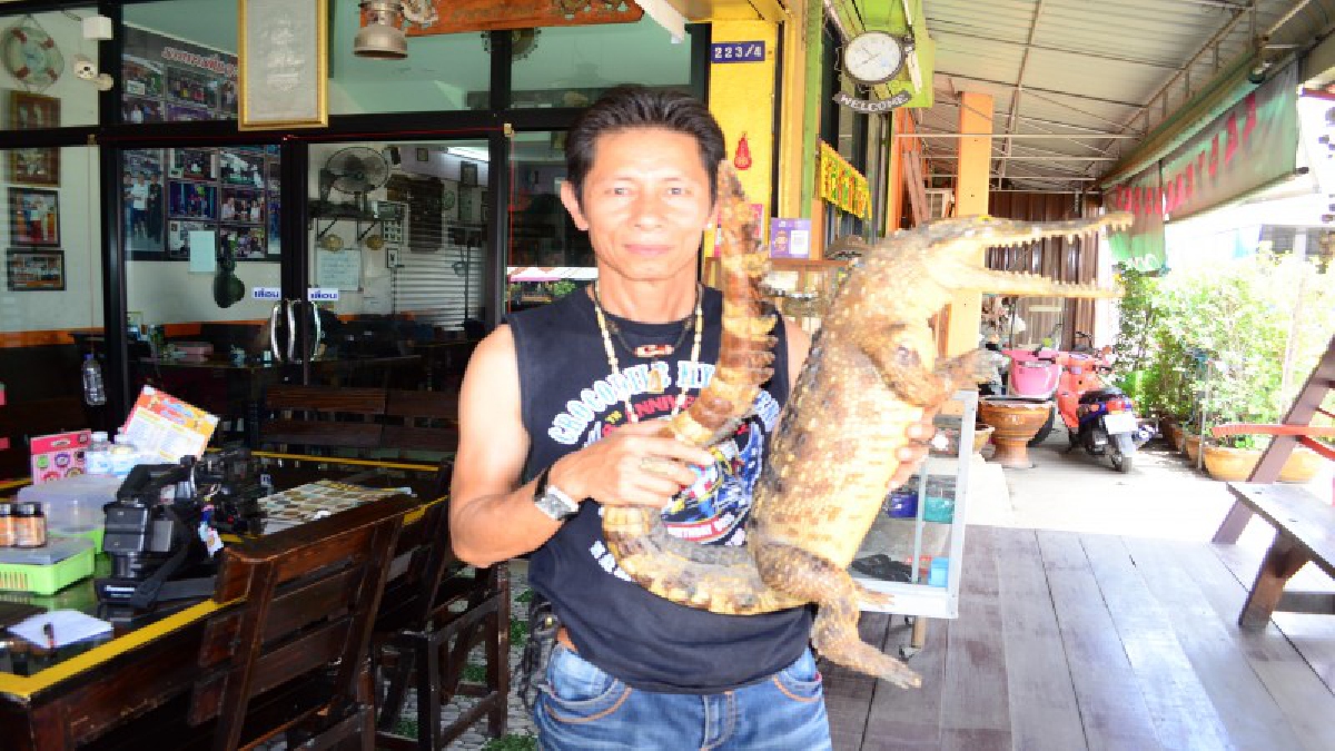 ต้องไปลองชิม !!!ก๋วยเตี๋ยวเนื้อจรเข้ตุ๋น หนึ่งเดียวในจังหวัดนครปฐม
