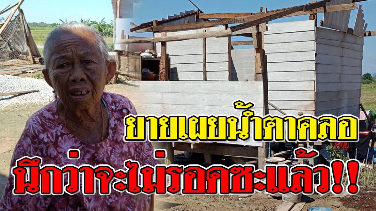 ช็อกน้ำหมากกระจาย ! ยายเฒ่าวัย 88 กลัวสุดขีด เห็นพายุพัดหลังคาบ้านปลิวคาตา..แถมตัวเองติดอยู่ในบ้าน ได้แต่ร้องตะโกนขอความช่วยเหลือ!?? (คลิป)