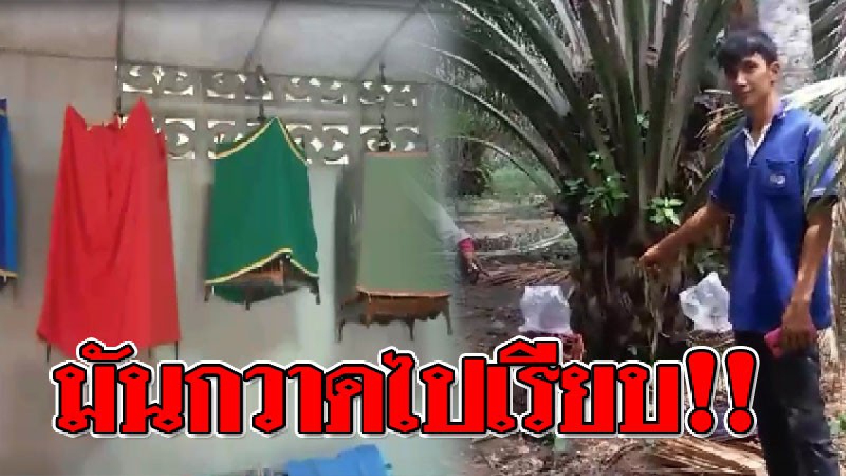 น้ำตาตกใน ! เจ้าของสุดฉุน..โจรแสบขโมย นกกรงของรักประธานชมรมนกลำทับ 15 ตัว เสียหายกว่า 3 แสนบาท..!? (คลิป)