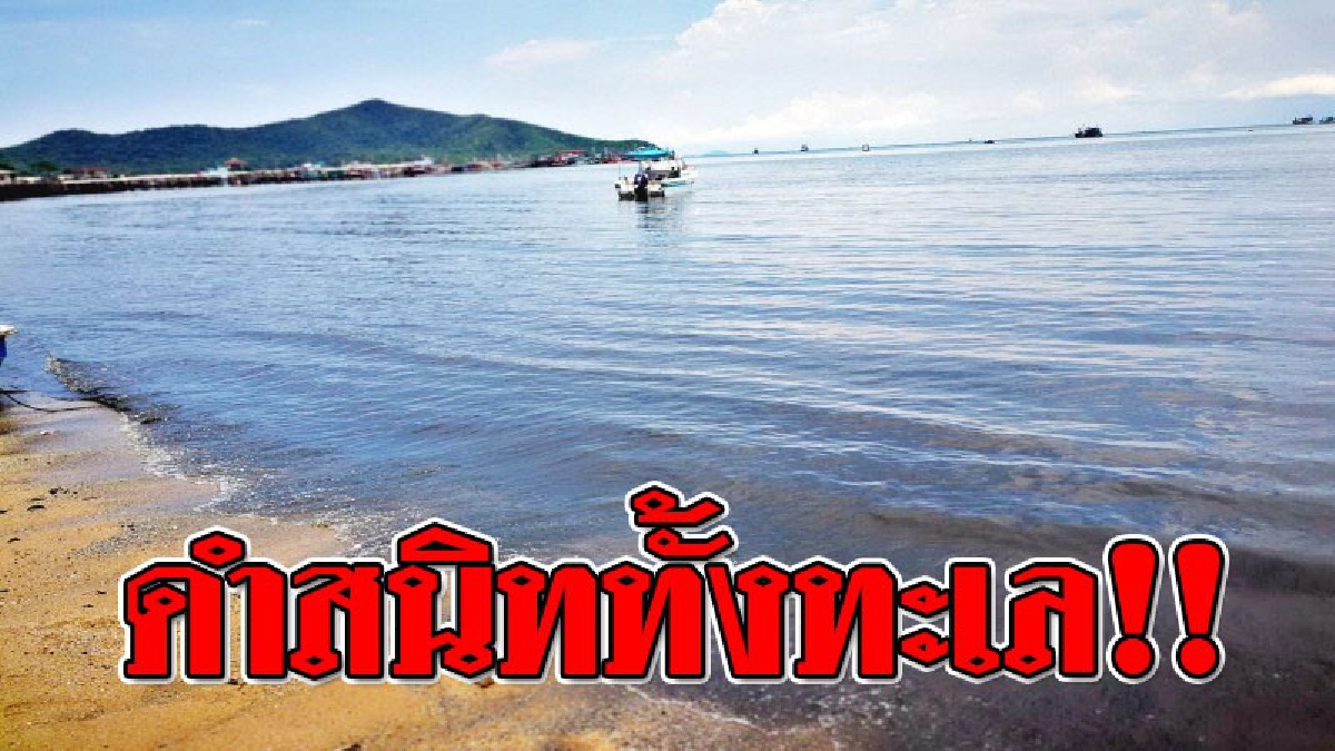 นี่หรือน้ำทะเล ! ช็อกกันทั้งบาง ฝนกระหน่ำตกหนัก ทำน้ำเปลี่ยนสี เป็นดำทั้งทะเล เผย..มันยังมีกลิ่นเหม็นชวนอ้วกอีกด้วย!?? (ชมคลิป)