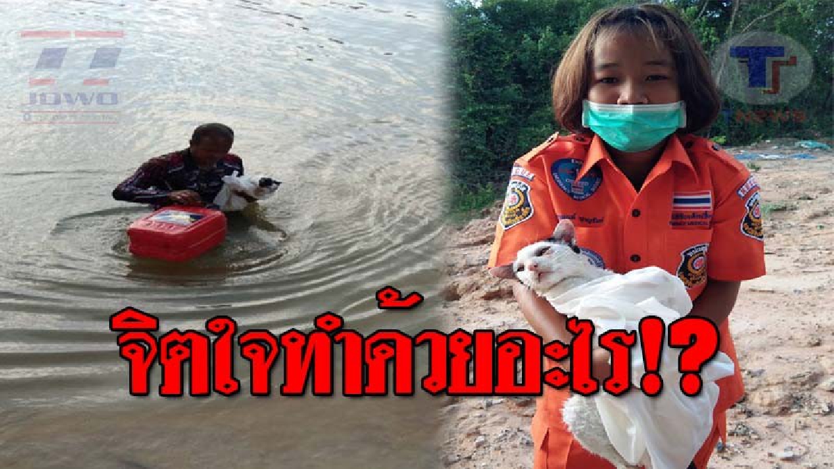 มันก็มีชีวิต..ทำได้ลงคอ !! จนท.กู้ภัย รุดช่วยลูกแมว หลังถูกคนใจบาป โยนทิ้งแม่น้ำจนเกือบตาย ท่ามกลางชาวบ้านช่วยลุ้นระทึก!? (ชมคลิป)