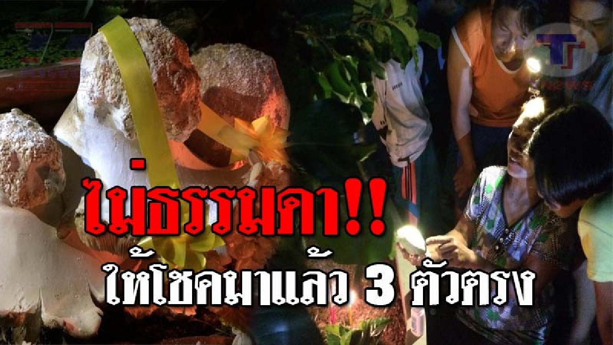 สะเทือนทั่วแผง..!! ฮือฮาสุดๆ "เห็ดยักษ์" โผล่หน้าร้านขายของชำเมืองช้าง คอหวยคลั่ง แห่ส่องเลขเด็ดกลางดึก หลังให้โชคถูกมาแล้ว 3 ตัวตรงๆ!?