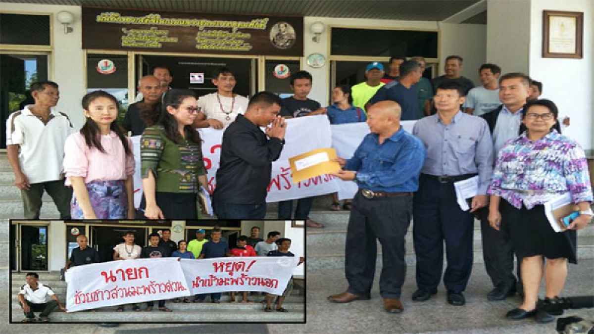 ชาวสวนมะพร้าว รวมตัวยื่นหนังสือถึง "นายกฯตู่" ช่วย หลังราคาดิ่งตก (มีคลิบ)