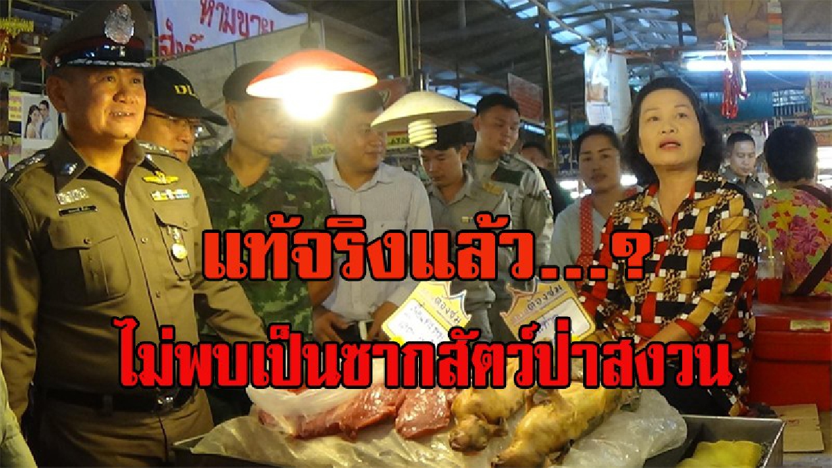 คุณหลอกดาว!! ความจริงเปิดเผยแล้ว...? ซากสัตว์ที่วางขายตลาดทุ่งเกวียน แท้ที่จริงแล้วคืออะไรกันแน่ (ชมคลิป)