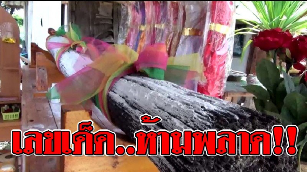 แม่นจริง..ท้าพิสูจน์ ! ที่พึ่งคนจนเสา "ตะเคียนเก่า" ให้โชค ถูกหวยกันหลายงวดติด งานนี้เซียนหวยไม่พลาด..ตามล่าซื้อเลขเด็ดที่โผล่มาให้เห็นจังๆ!