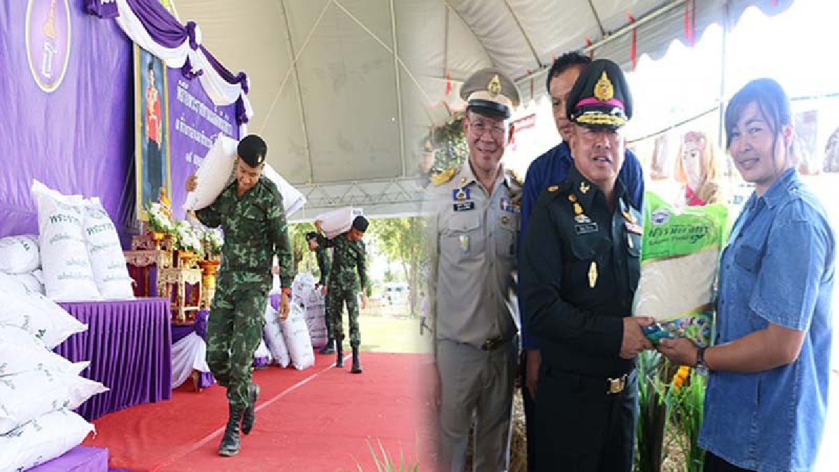 แม่ทัพภาคที่ 3 เป็นประธานพิธีรับมอบเมล็ดพันธุ์ข้าวพระราชทาน ให้ชาวนาพิจิตรนำไปปลูกแบบเกษตรอินทรีย์ (ชมคลิป)