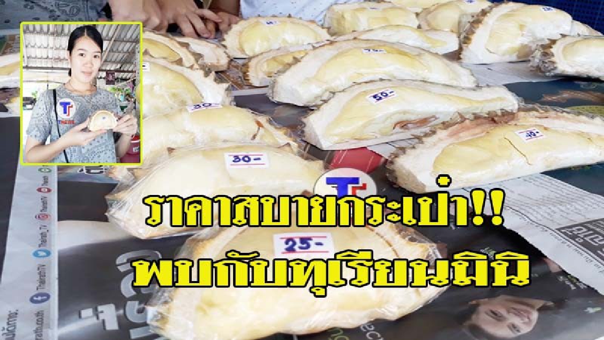 ระยอง!! ทุเรียนหมอนทองมินิ เริ่มที่ 25 บาท (ชมคลิป)