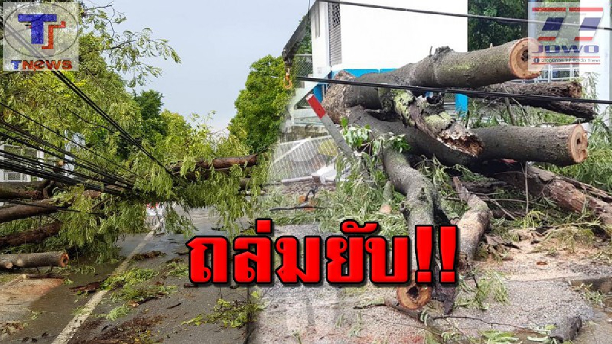 เปิดเทอมวันแรก  อ.ปากช่อง โดนฝนลมแรงถล่ม เสาไฟฟ้าหน้าโรงเรียนล้มระเนระนาดนับสิบต้น  เคราะห์ดีที่ครูยังไมปล่อยให้นักเรียนกลับบ้าน