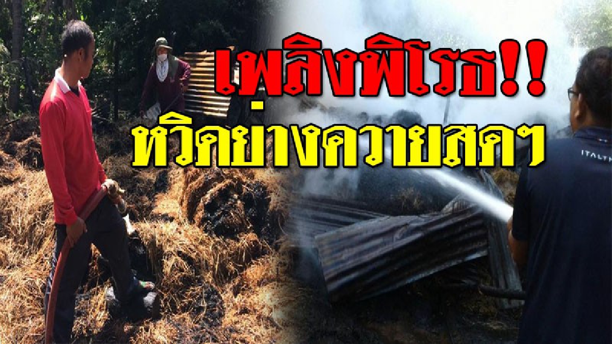 เพลิงพิโรธเผาดุ!! โคตรระทึก เกิดเพลิงไหม้กองฟางกว่า 100 ก้อน กลายเป็นผงในพริบตา เผย..ทั้งรถทั้งนกไหม้เกรียม แถมหวิดลามโดนควายอีก 15 ตัว!??