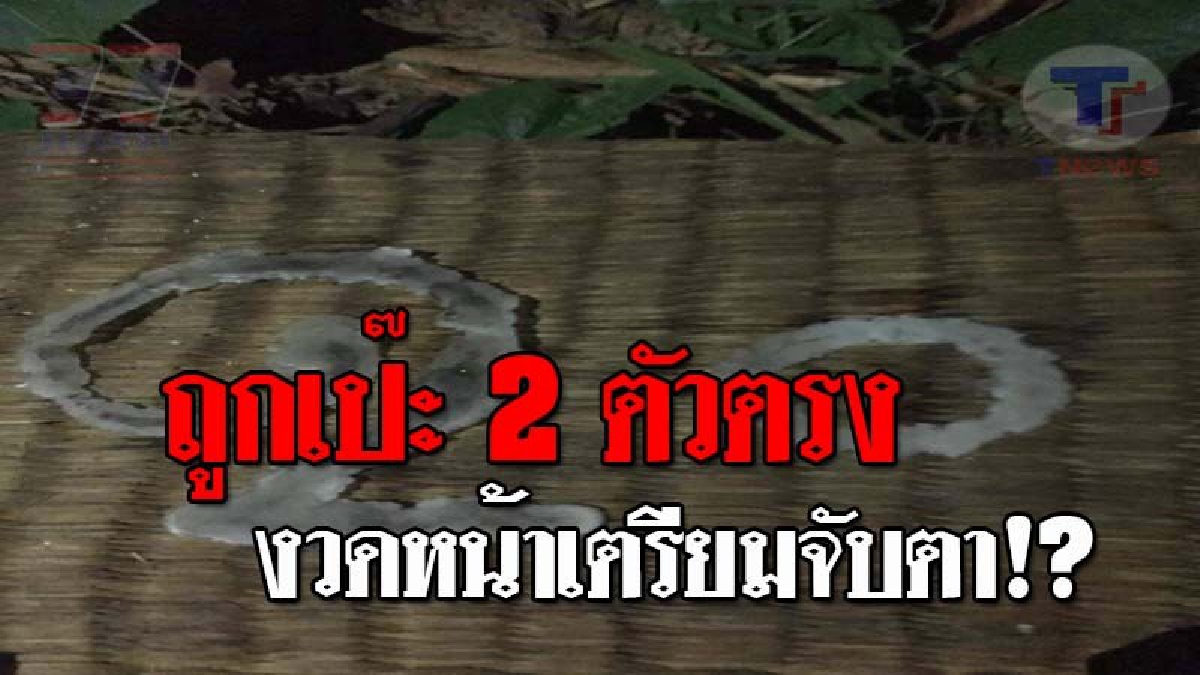 รวยกันยกจังหวัด..!! ชาวสุรินทร์เฮลั่น โคตรแม่นเหมือนจับวาง หลัง "เลขน้ำตาเทียน" ของ "พระเพชร วัดกันตาลหาร" ให้โชค ถูก 2 ตัวตรงๆ!?