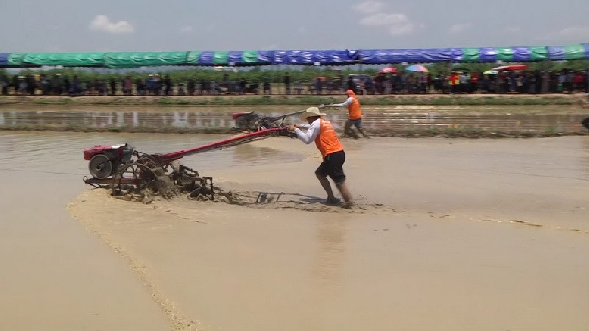 สุดฮา!!แข่งขันดำนาข้าว และแข่งไถนาด้วยรถไถแบบเดินตาม ในวันสาธิตเริ่มต้นฤดูการผลิต