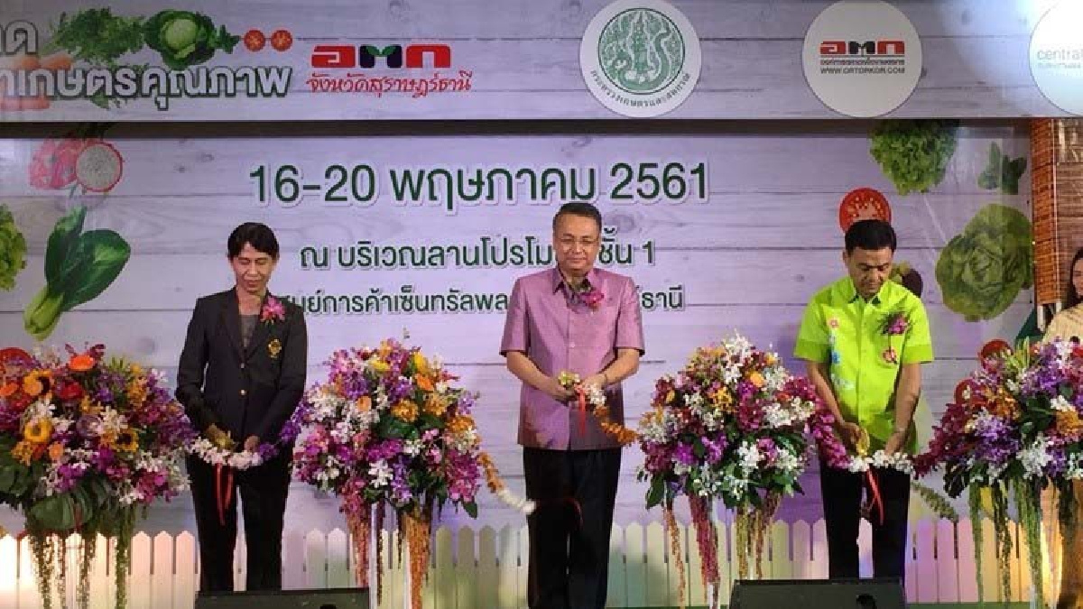 สุราษฎร์ธานี ยกระดับมาตรฐานสินค้า เร่งขยายตลาดช่วยเกษตรกร จัดงานตลาดสินค้าเกษตรคุณภาพ (มีคลิป)