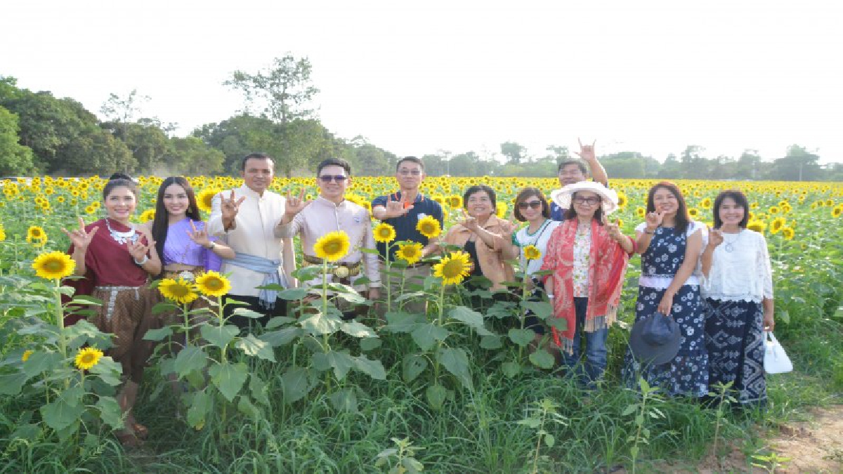 นักธุรกิจรถยนต์หมื่นล้านทุ่มเงินส่วนตัว ร่วม 20 ล้าน สร้างทุ่งทานตะวันให้เป็นของขวัญชาวอุบลได้พักผ่อนกว่า 66 ไร่ ใจกลางเมืองอุบลฯ