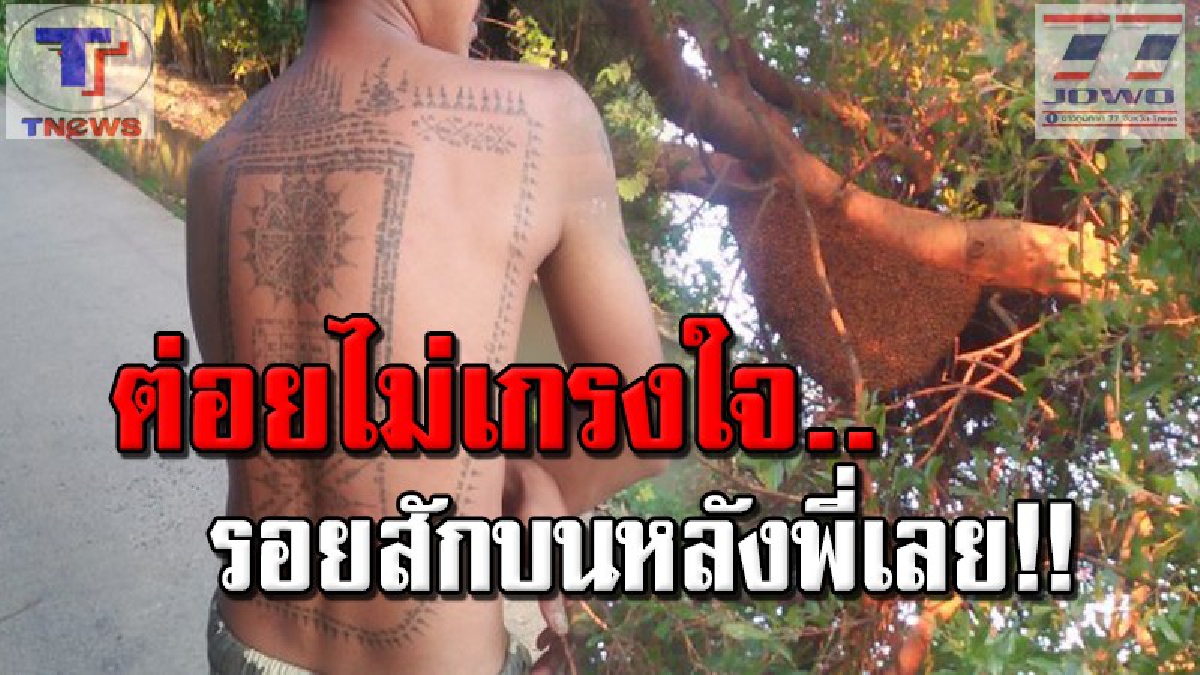 ดุขนาดนี้..คงอยู่ร่วมโลกไม่ได้แล้ว !! ผึ่งหลวงอาละวาด ไล่ต่อยคนดะ สุดท้ายชาวบ้านทนไม่ไหว เรียกกู้ภัยเผาเรียบ