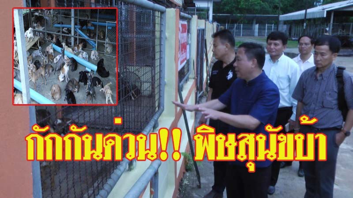 รองอธิบดีกรมปศุสัตว์ลงพื้นที่!! ตรวจติดตามศูนย์เฉพาะกิจกักกันสัตว์เสี่ยงโรคพิษสุนัขบ้า (มีคลิป)