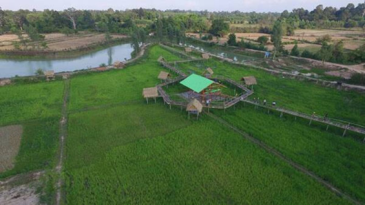 ไอเดียสุดเจ๋ง!! อดีตสาวเซลส์ขายของ..ตัดสินใจหวนคืนบ้านเกิดเปิดร้านอาหารลอยฟ้า ชมความสวยงามท้องทุ่งนาข้าวอินทรีย์ ..!? (ชมคลิป)