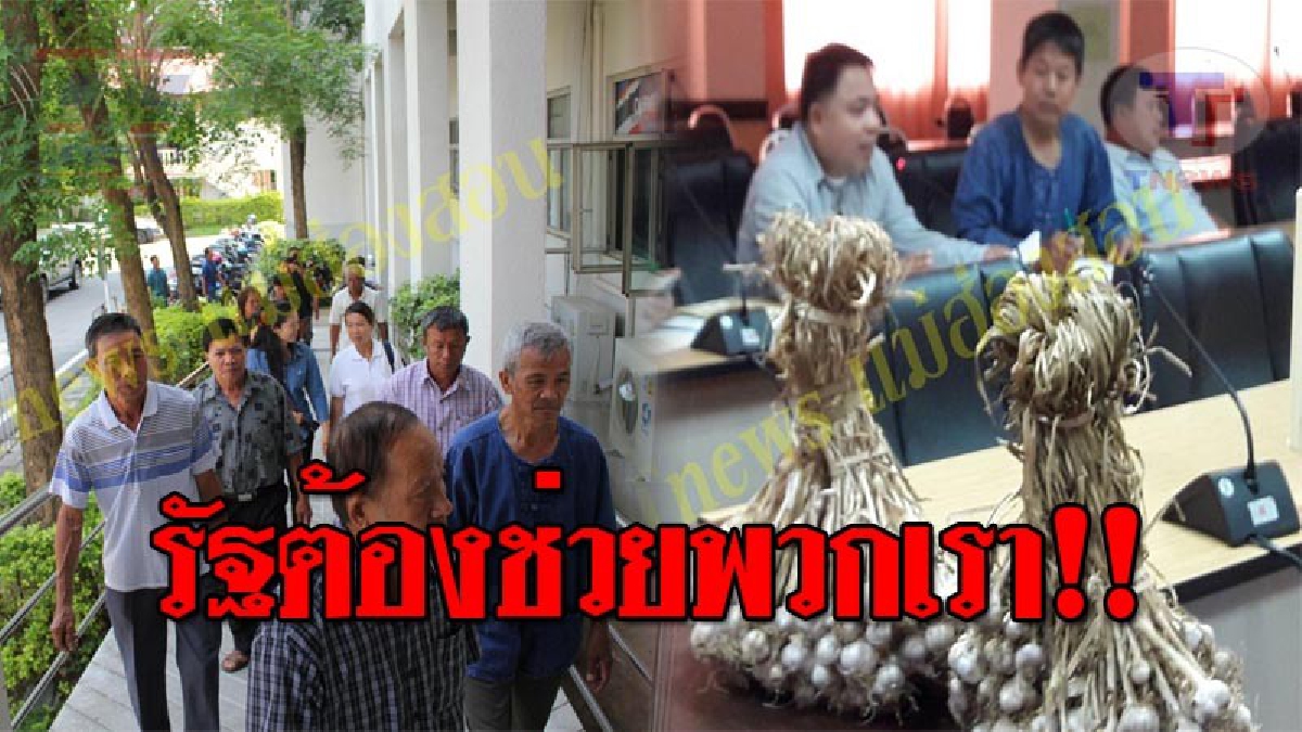 ปลูกเยอะจนล้นตลาด..!! ม็อบกระเทียม บุกศาลากลาง เพื่อติดตามเรื่องราคา-การตลาด หลังไร้ความคืบหน้า ลั่น..ยังไงรัฐบาลก็ต้องช่วย!?