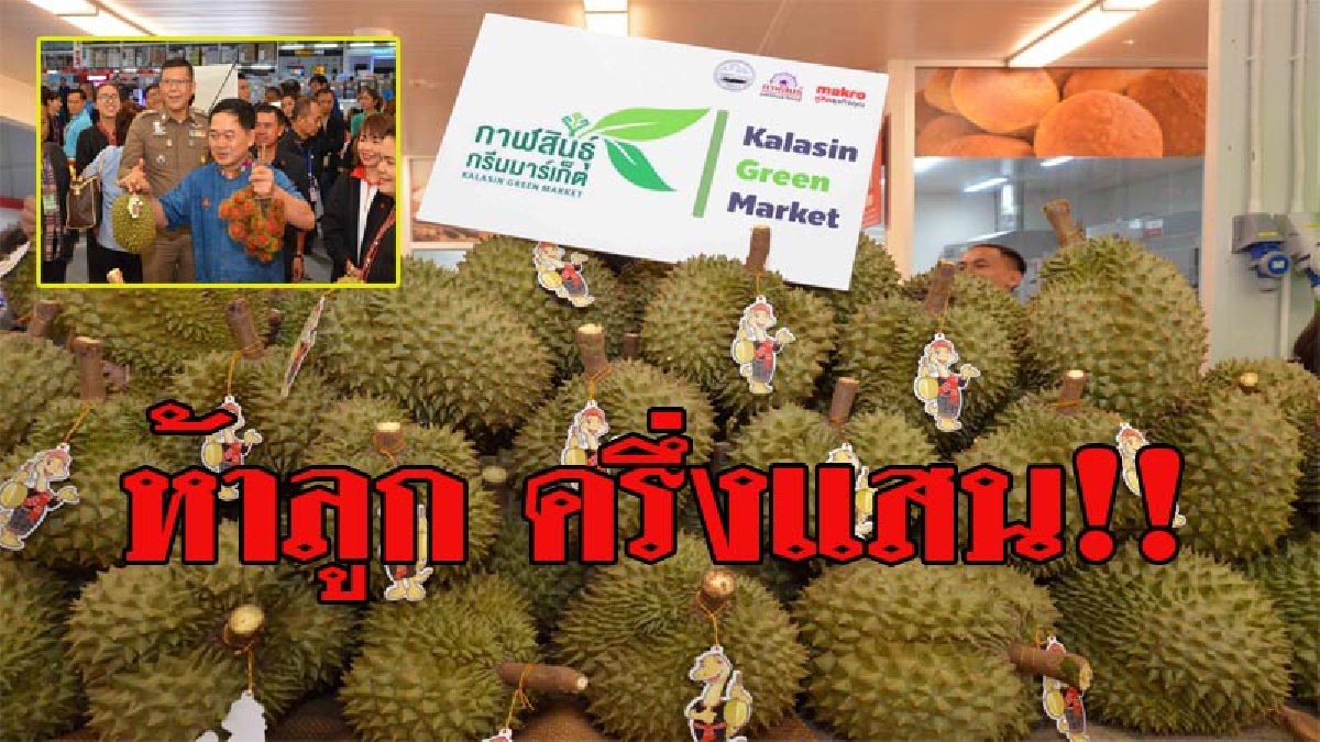 ช็อค!! ราคาทุเรียนสามชัยกาฬสินธุ์ 5 ลูก ราคาครึ่งแสน (ชมคลิป)