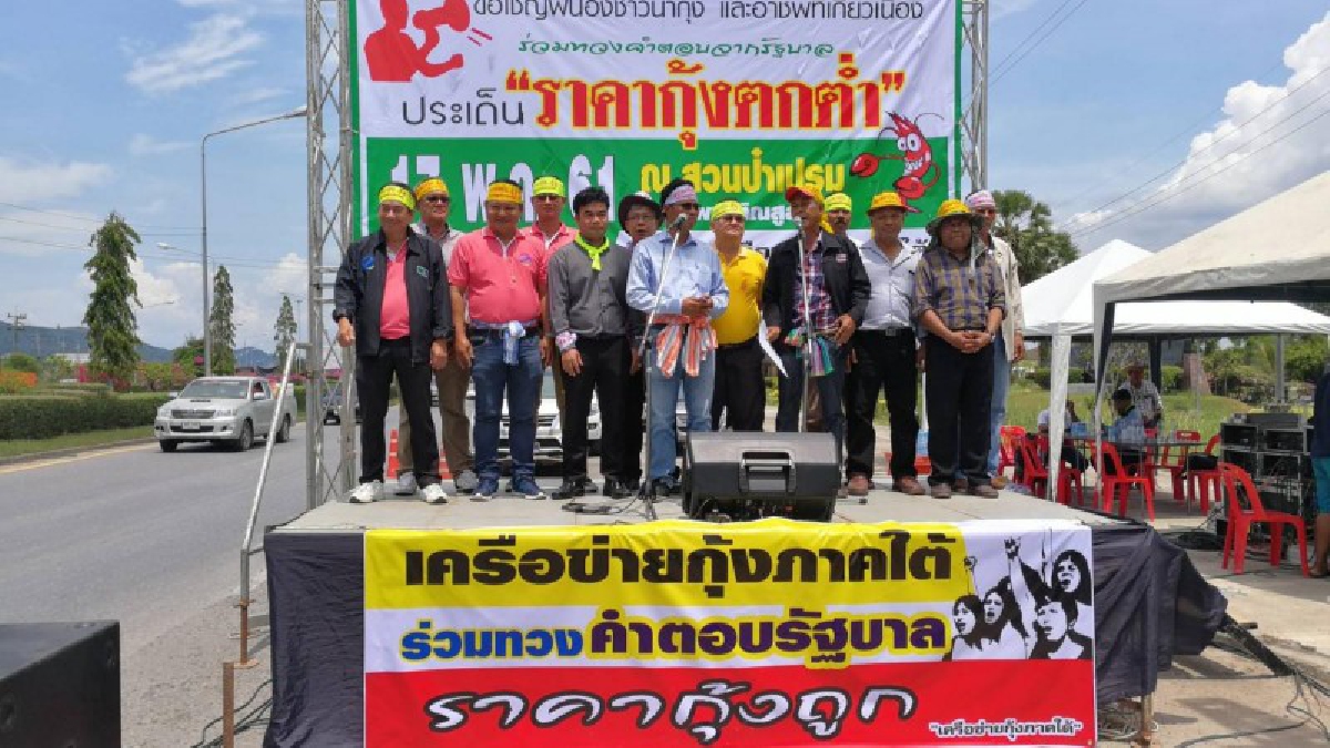 ม๊อบกุ้งเริ่มแล้ว !! ยกพลนับพัน ปักหลักเชิงสะพานติณสูลานนท์ จี้! แก้ปัญหาราคากุ้งตกต่ำ ไม่ได้รับคำตอบไม่เลิก (คลิป)