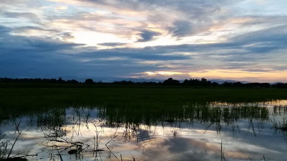 อย่าพึ่งไว้ใจ..!! ภาคเหนือฝนฟ้าคะนอง เพิ่มขึ้นเรื่อยๆ เตรียมรับมือไว้ให้ดี