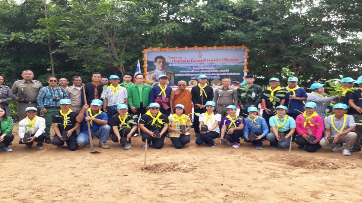 จิตอาสาศรีสะเกษร่วมกับชาวบ้าน ปลูกต้นไม้เฉลิมพระเกียรติ เนื่องในโอกาสมหามงคลเฉลิมพระชนมพรรษา (ชมคลิป)