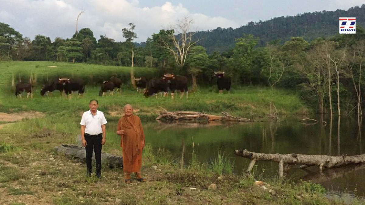 โคราช ! แก้ปัญหาสัตว์ป่าบุกรุกทำลายพื้นที่การเกษตร และลดการเผชิญหน้ากับชาวบ้านในพื้นที่ เตรียมพัฒนาเป็นแหล่งท่องเที่ยวดูสัตว์ป่าหากิน (คลิป)