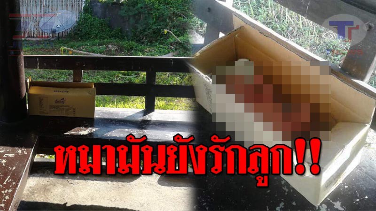 สลดหนัก..!! พนักงาน กฟผ. กำลังรอรถที่ศาลาพักริมทาง จู่ๆได้ยินเสียงร้อง ก่อนไปเปิดกล่องดู ช็อคหนัก มีหนูน้อยถูกแม่ใจยักษ์ทิ้ง อย่าสุดเวทนา!?