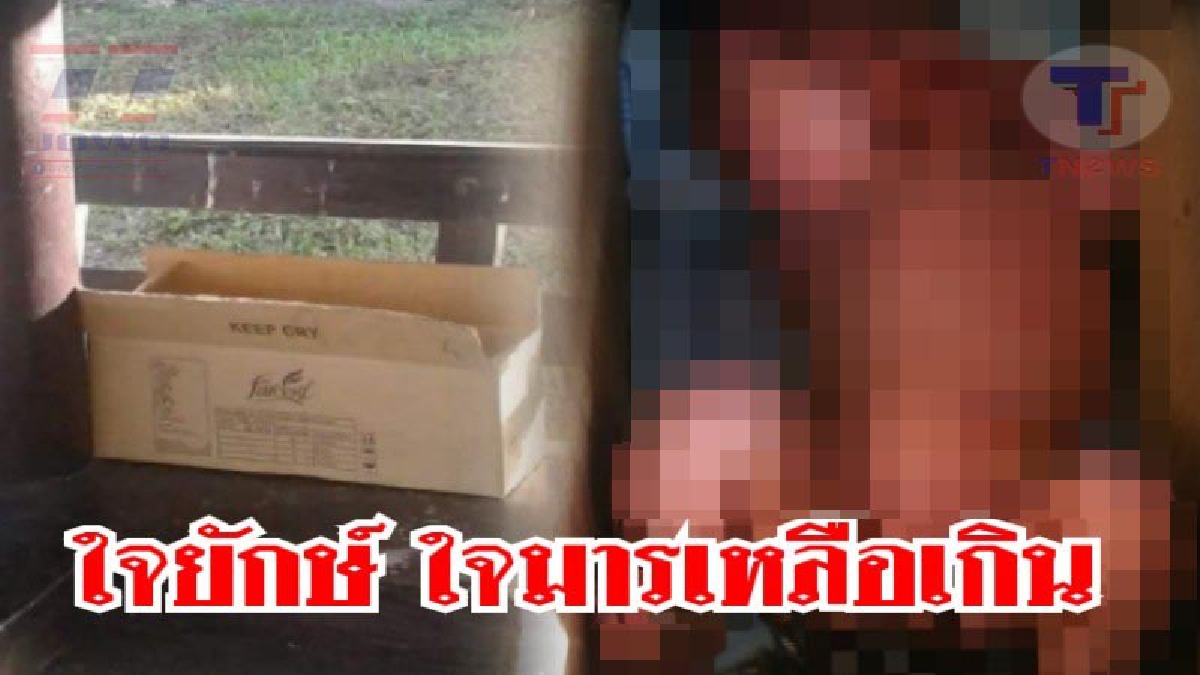 ด่วน..!! แม่ใจยักษ์ จิตใจทำด้วยอะไร ทิ้งลูกเล็กแรกเกิด ไว้ศาลาริมทาง หลังมีพนักงาน กฟผ. ได้ยินเสียงร้อง จึงเดินไปเปิดดู!? (ชมคลิป)