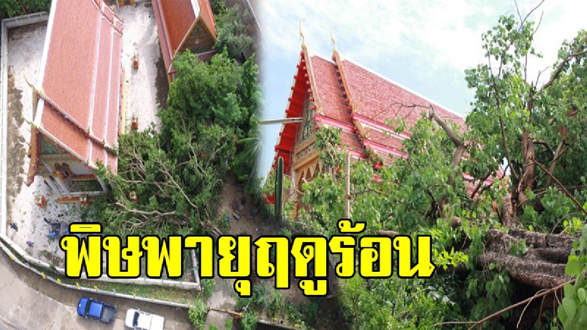 หวิดพังทั้งโบสถ์ !! พายุฝนพัดถล่ม ต้นโพธิ์อายุกว่า 100 ปี โค่นทับอุโบสถวัดหลวงพ่อพันธ์