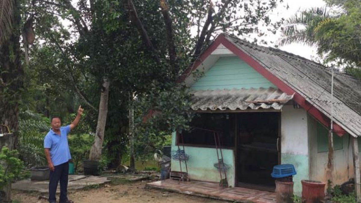 ฤทธิ์พายุฝน!!!พายุพัดถล่มต้นไม้ล้มทับสายไฟก่อนล้มอัดหลังคาบ้านครูบำนาญพังยับ-วอนไฟฟ้าช่วยหวั่นนกระแสไฟฟ้าลัดวงจร(ชมคลิป)