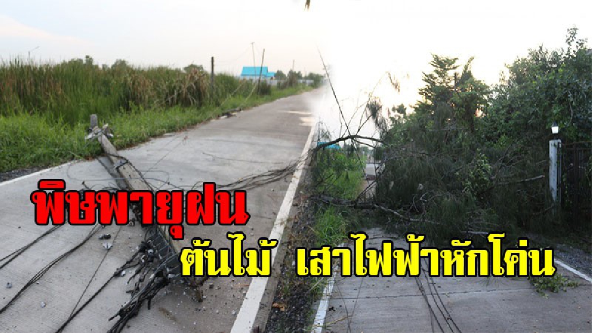พิษพายุฝนพัดกระหน่ำปทุมธานี ต้นไม้ เสาไฟฟ้า ล้มขวางถนน