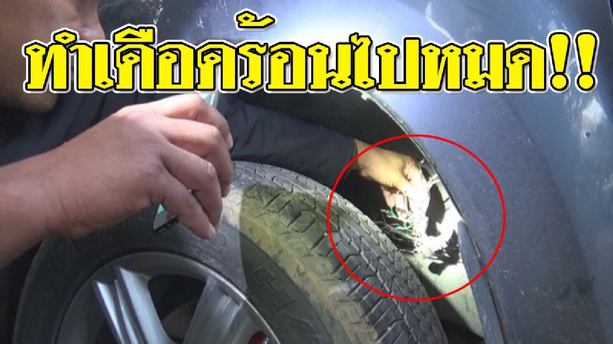 ไอ้ตูบทำพิษ ! หนุ่มใหญ่พิษณุโลก โร่แจ้งตำรวจหลังรถยนต์เหมือนโดนงัด ที่แท้..รู้ถึงสาเหตุหาไม้เรียวมาแทบไม่ทัน!?? (ชมคลิป)