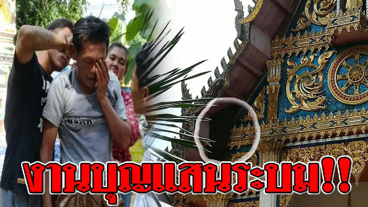 ระทึกกลางงานบวช เมื่อจู่ๆ "ผึ้งหลวง" เกิดรังแตก บินว่อนไล่รุมต่อยขบวนแห่นาค บาดเจ็บนับสิบ คนวิ่งหนีกระเจิง..!?