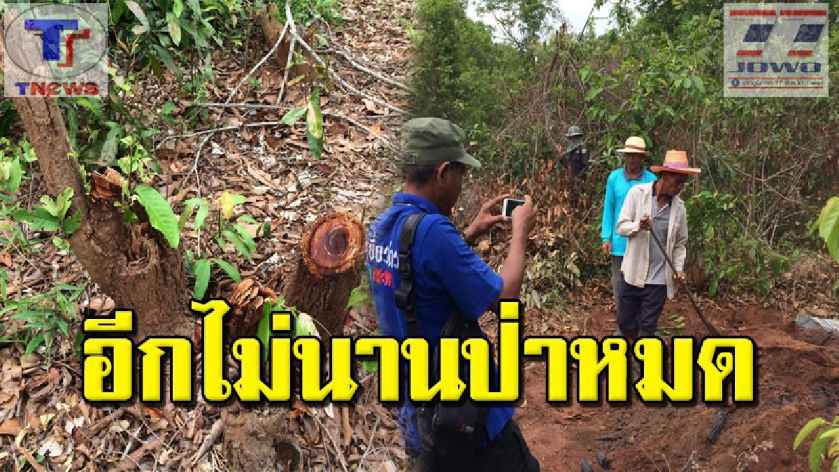 สะเทือนใจคนไทยทั้งประเทศ!!! บุกรุกตัดไม้ในป่าสงวนแห่งชาติป่าพนมดิน แปลง1 เนื้อที่กว่า 11,000 ไร่เพื่อ“เผาถ่าน” อีกไม่นานหมดป่าแน่นอน (คลิป)