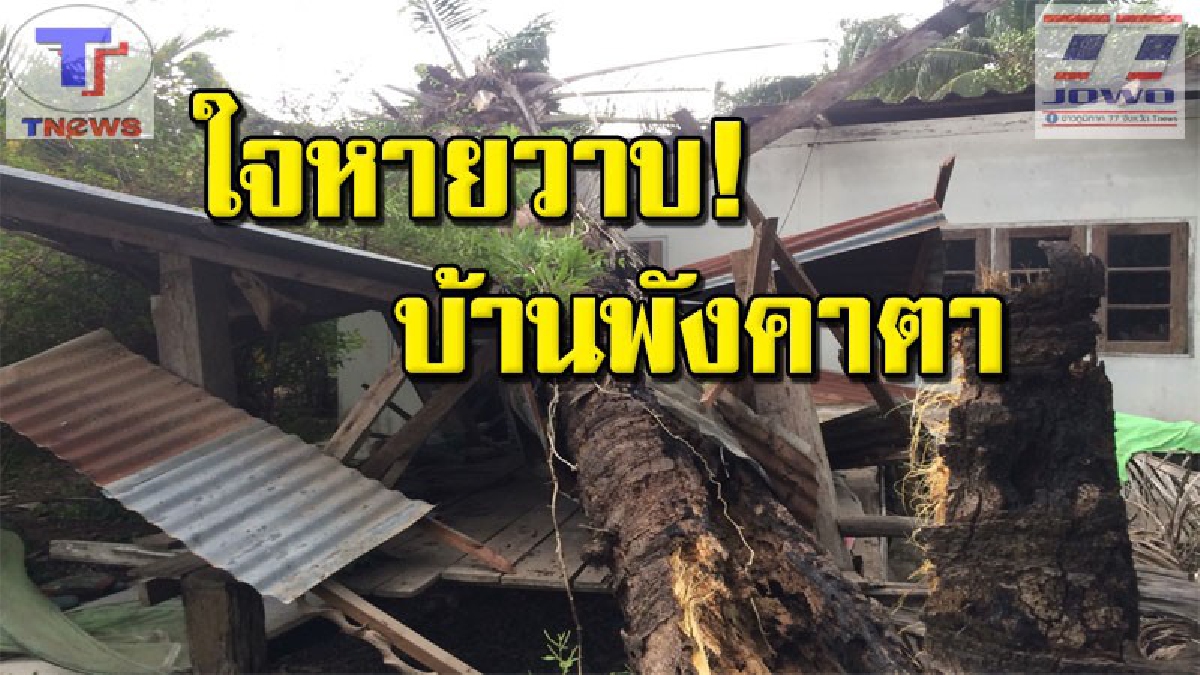 เสียงดังโครม!! คุณลุงเมืองช้างแทบช็อก ขณะนั่งดูทีวีอยู่ในบ้าน ต้นปาล์มยักษ์ล้มทับบ้านพังยับชั่ว มาพร้อมพายุฝนถล่ม (คลิป)