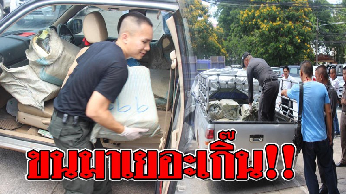 ยึดอีกมโหฬาร!!! มันบรรทุกมาเต็มรถกะบะทั้งหน้าหลังกว่า 50 กระสอบ แต่ดันซวย..ล้อไม่เป็นใจ เกิดยางแตก จนถูกจนท.สกัดจับได้ทันควัน (คลิป)
