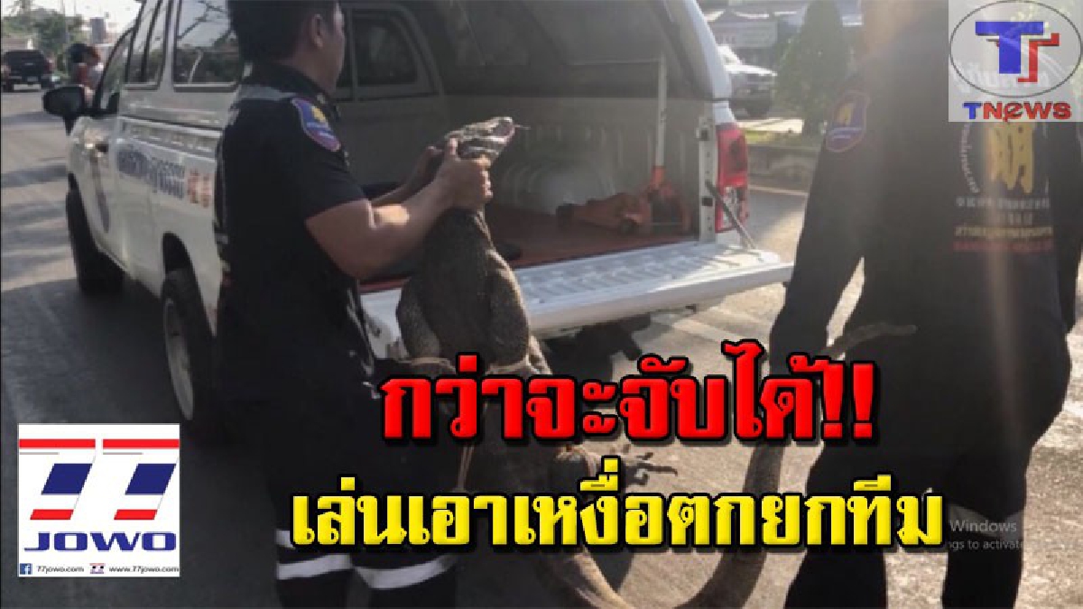 แค่อาบแดดเอง !!! เปิดวินาทีลุ้นระทึก กู้ภัยไล่จับตะกวดยักษ์กลางถนน ก่อนจนมุม หันหลังแว้งกัดจนท.วิ่งหนีกันกระเจิง (คลิปเหตุการณ์)
