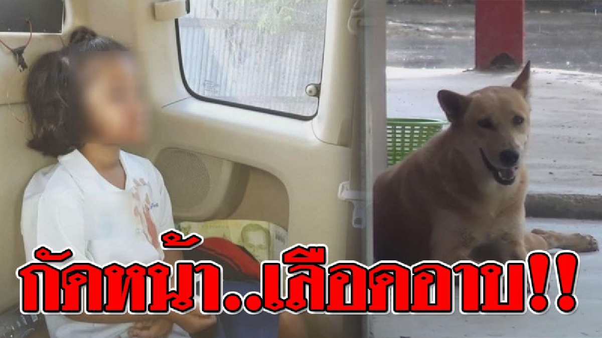 อุทาหรณ์..เตือนใจ ! เด็กน้อยวัย 9 ขวบ สุดเอ็นดู "สุนัข" เข้าไปลูบหัว..สุดท้ายโดนกัดเลือดอาบหน้า แม่มาเห็นแทบลมจับ ลูกสาวบอก "หนูเจ็บตา"..!?