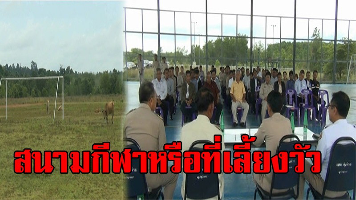 ร้อนแรงทั้งย่านตาขาว !! พ่อเมืองตรัง ลุยดูให้เห็นกับตา สนามกีฬาสร้างเสร็จปล่อยร้าง อบต.ไม่รับโอน ชาวบ้านใช้เลี้ยงวัว