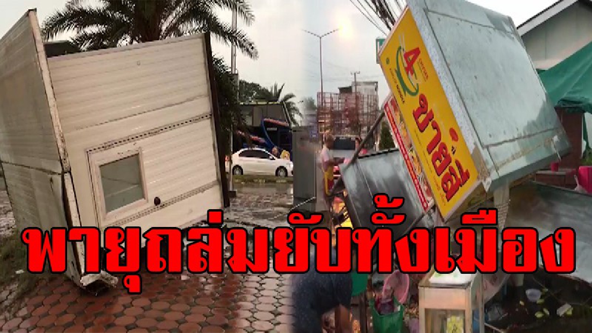 พังยับทั้งจังหวัด พายุฤดูร้อนพัดถล่มอ่างทอง ต้นไม้ล้มทับรถยนต์-บ้านเรือนราษฎรเสียหายยับ ขณะที่ผู้ว่าสั่งระดมจนท.เร่งช่วยเหลือประชาชน