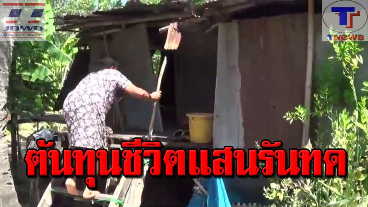 วอนช่วยเหลือป้าวัย 63 ปี และลุงวัย 51 ปีป่วยพิการเดือดร้อนหนักต้องอาศัยใต้ถุนบ้านข้างเล้าไก่ซุกหัวนอนหลังบ้านกำลังจะพัง (คลิป)