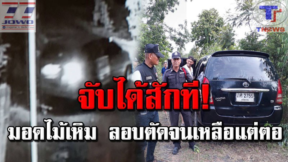 เห็นกันจะจะ !! เผยกล้องวงจรปิด จับภาพรถแก๊งมอดไม้พะยูง ตร.เมืองช้างกดดันไล่ล่าจนเจอ เตรียมขยายผลจับตัวการใหญ่ (คลิป)
