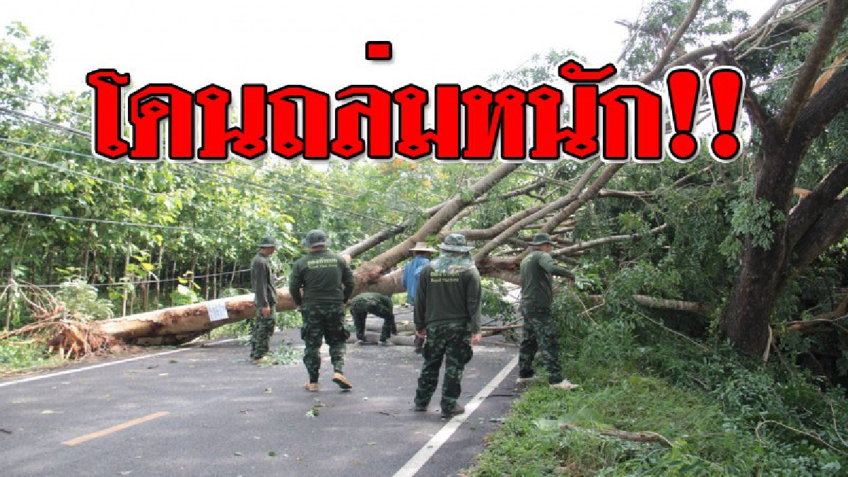 ลำปางโดนอีก ! ซัดบ้านเรือนพัง ต้นไม้โค่นใส่เสาไฟหัก หลังลมแรงพัดในหมู่บ้าน จนท.ตามซับน้ำตาแทบไม่ทัน!?? (ชมคลิป)
