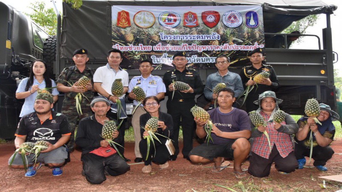 นครพนม ทหารระดมทุกภาคส่วน ระดมช่วยซื้อสับปะรด แก้ปัญหาราตกต่ำสุดรอบ 10 ปี (มีคลิป)